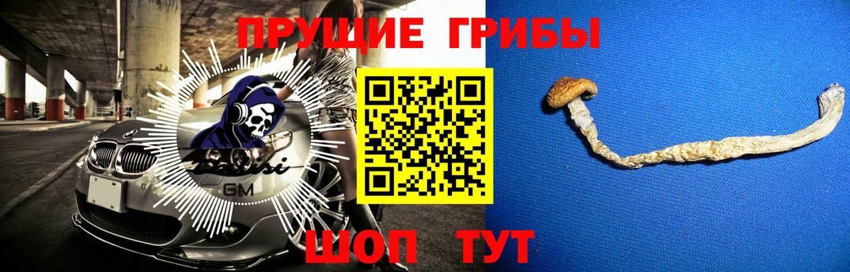 Медногорск  Псилоцибиновые грибы Magic Shrooms  купить  цена  Вход с VPN 