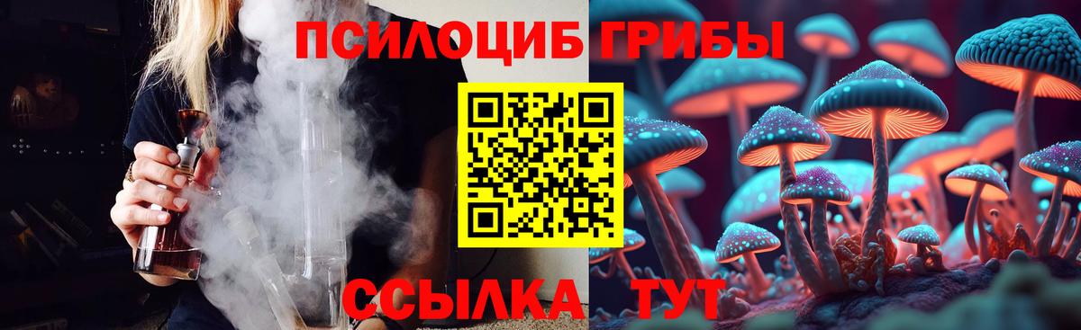 Псилоцибиновые грибы Psilocybine cubensis Медногорск